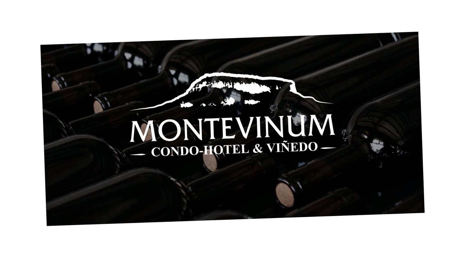 Montevinum - Imagen 1